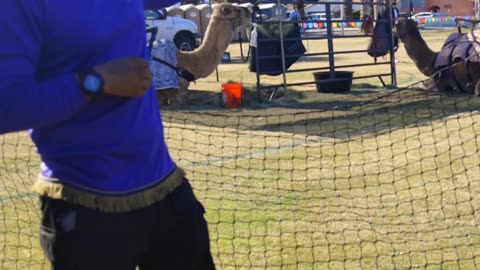 Lords will our people repent from the Tamale Festival