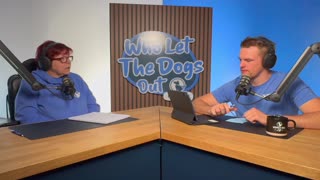 Sibling Syndrome in Dogs, Night Walk Safety & Shared Dog Custody — Q&A Ep. 081