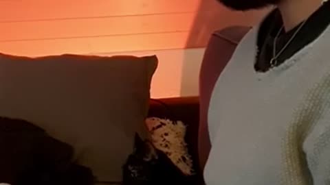 😴🤪 Humans Get WEIRDER Every Nap – You Won't Believe This! | FunFM