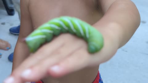 The Green Thing
