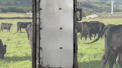 Slide Gate Alleyway Accessory