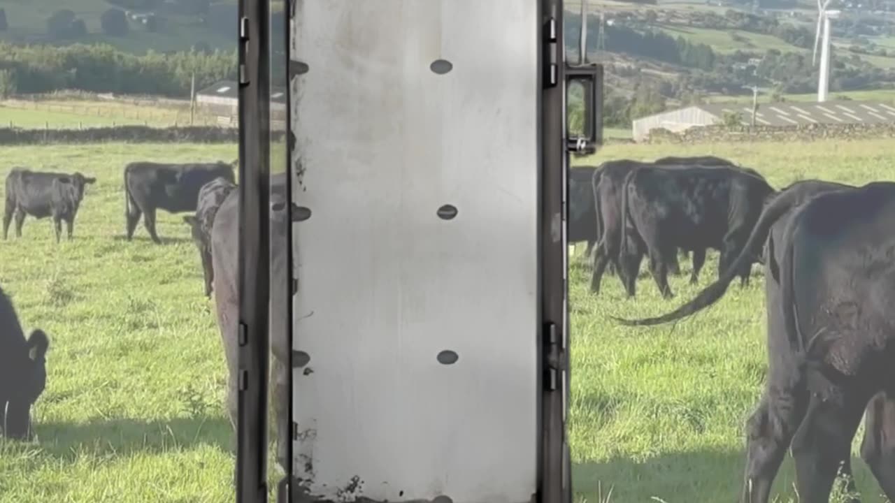 Slide Gate Alleyway Accessory