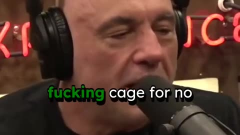 Islanders' Dark First Contact