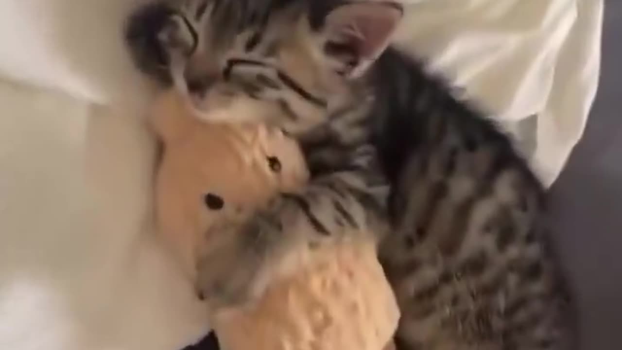 I need to hold a little peanut to sleepš„°