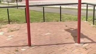 😂🏆 And the Winner is? | FunFM
