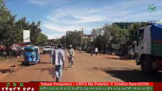 ነሐሴ 13-2025 ONM-ABO እለታዊ የኦሮሞ ነፃነት ሰራዊትና የኦሮሚያ ውሎ!