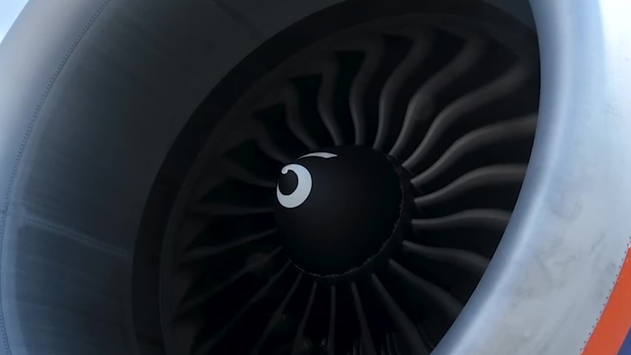Have you noticed that they have a curved shape?