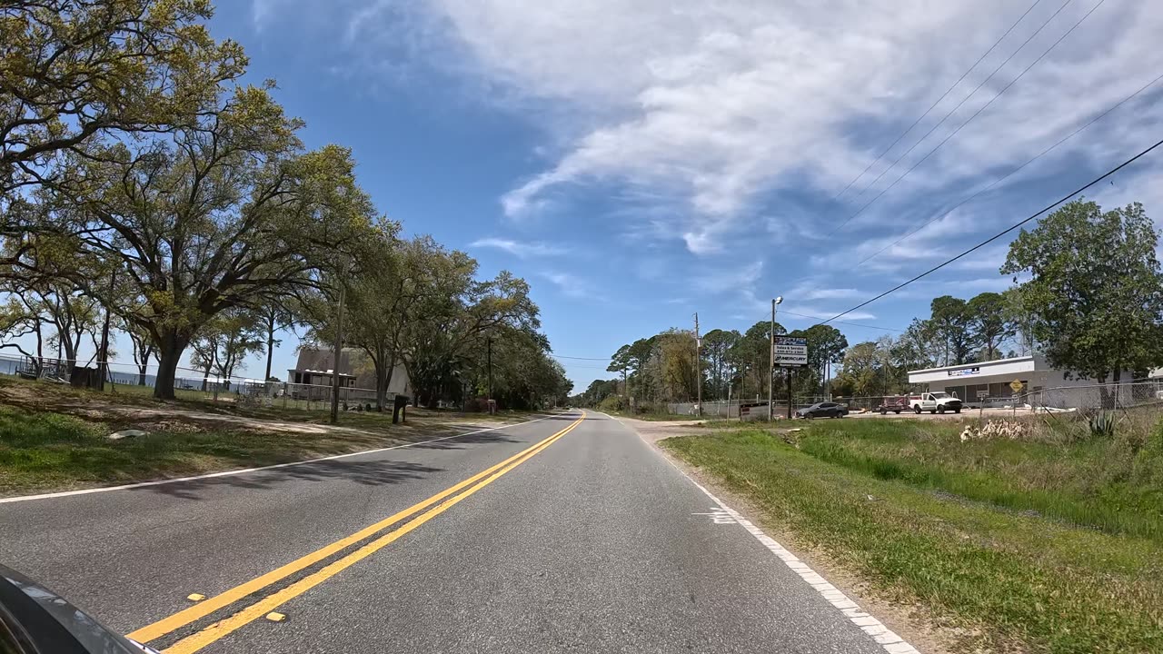 Day 3 March 26 Part 2B Bear Crossing near St. Teresa, FL