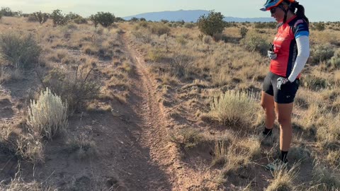 Snake on the trail