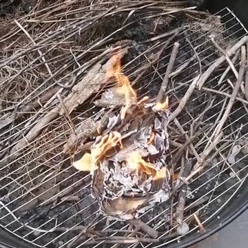 Tim Rifat TikTok Videos