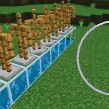 Minecraft build trick