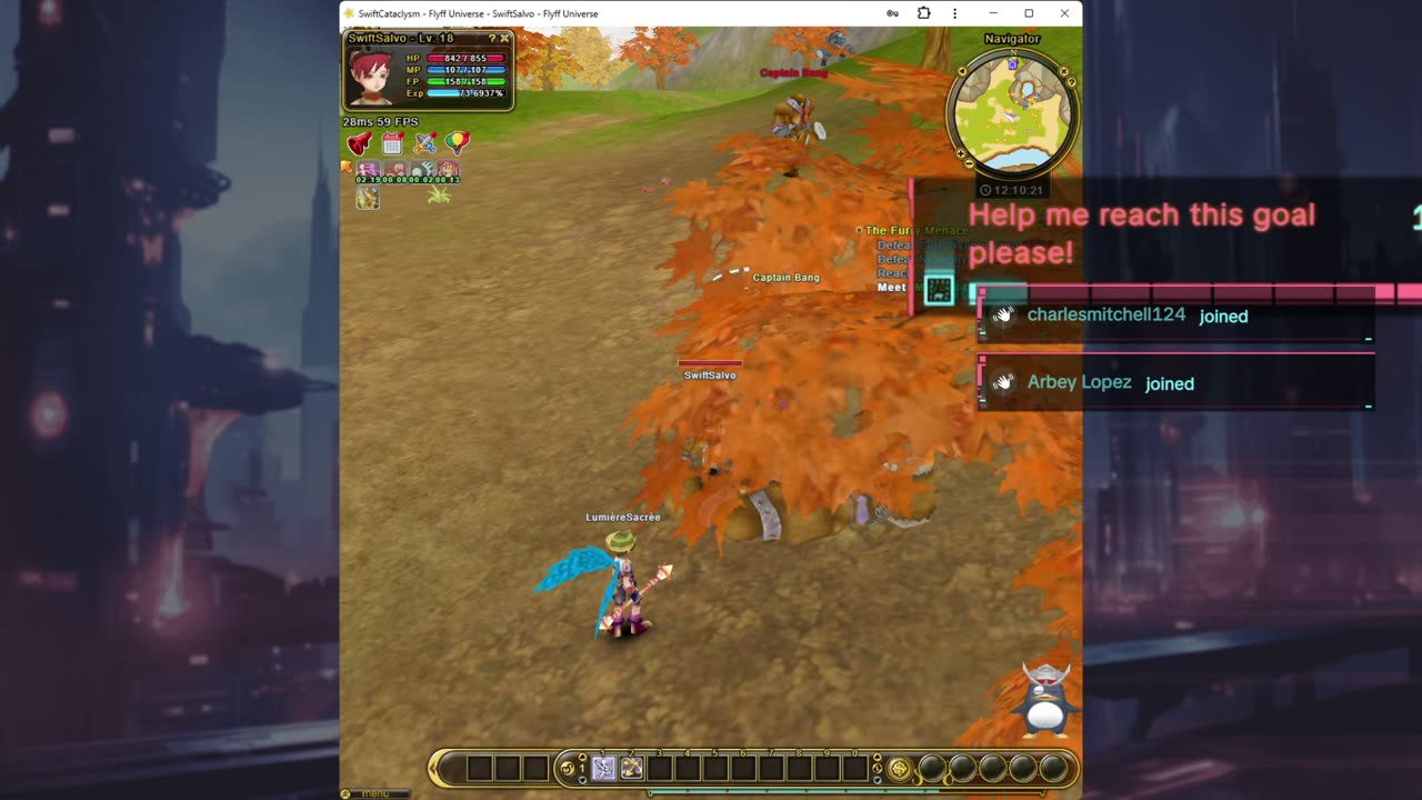 FlyFF training Arc lol