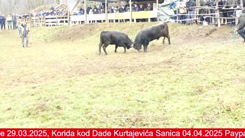 Druženje Kakanj Gornji Lučani 2025