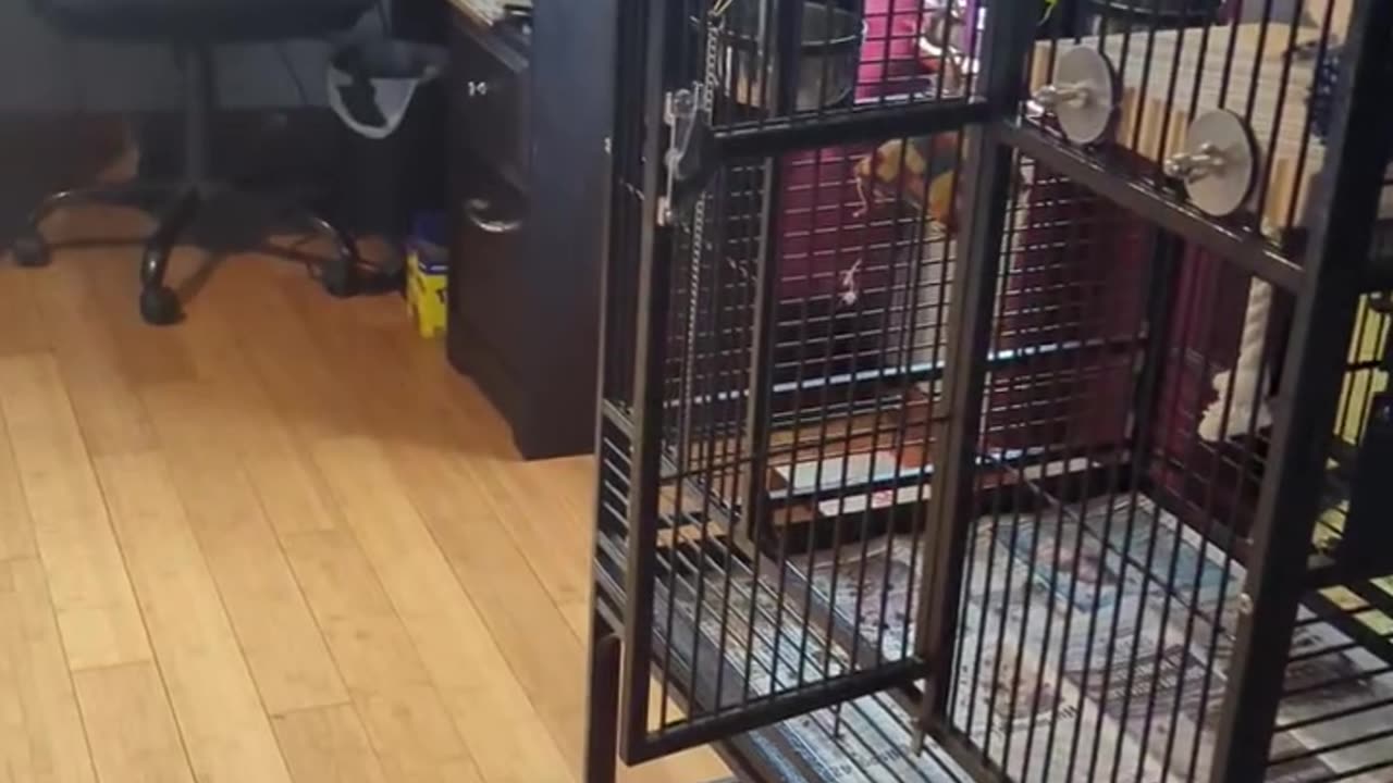 A Baby Monitor Is a Great Idea