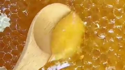 Shocking: Puff’s got something oddly satisfying to show you. #thatlittlepuff #sa