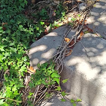 Healing Crystal Orgone Energy Pyramids