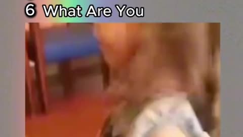 TOP 6 Moments Kids Have No Filter