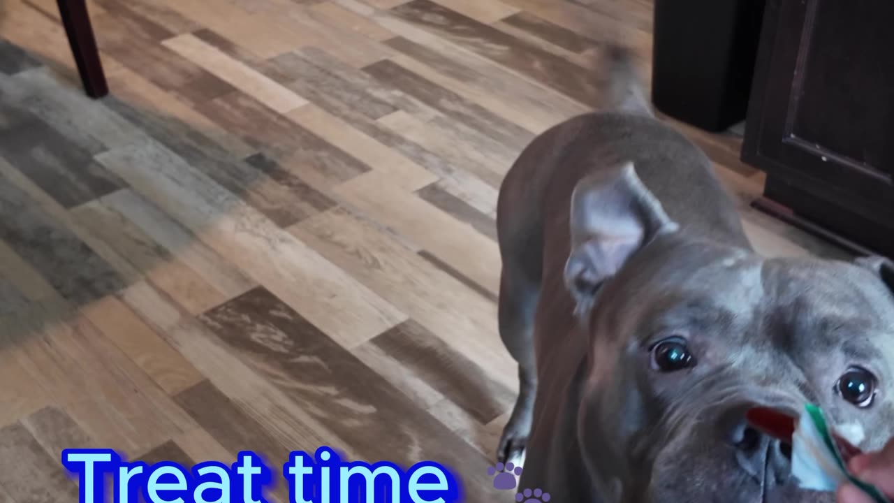 Treat time for Blue
