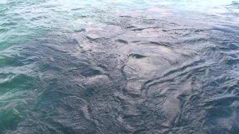 Ocean Waves from Open Ocean off a Cruise Ship Deck 5 View Creative Commons Stock Video