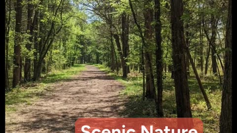 The Active Runner: Chickamauga Battlefield