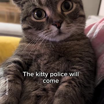 Cat's Favorite Story Time with Mom