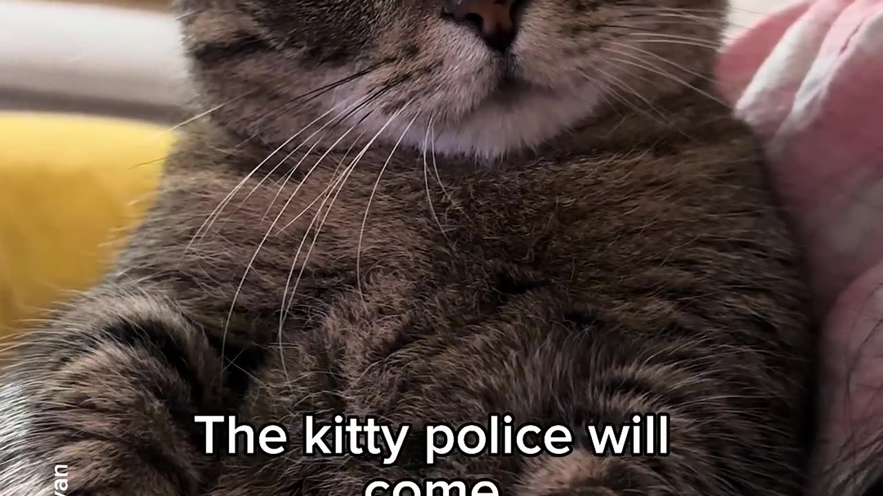 Cat's Favorite Story Time with Mom