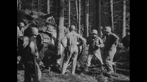 Sherman supporting the 79th Infantry Division vs la Forêt de Parroy at the end of September 1944