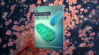The Mitochondrial Protocol: How to Restore Your Powerhouse and Reclaim Your Life