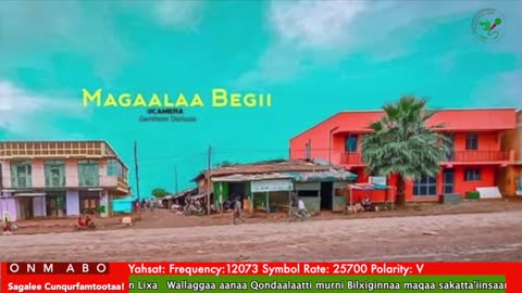 Oduu Ganama ONM-ABO Onkoloolessa 23-2025 itti dhiyaadhaa!