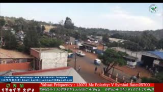 ሰኔ 20-2025 ONM-ABO እለታዊ የኦሮሞ ነፃነት ሰራዊትና የኦሮሚያ ውሎ!