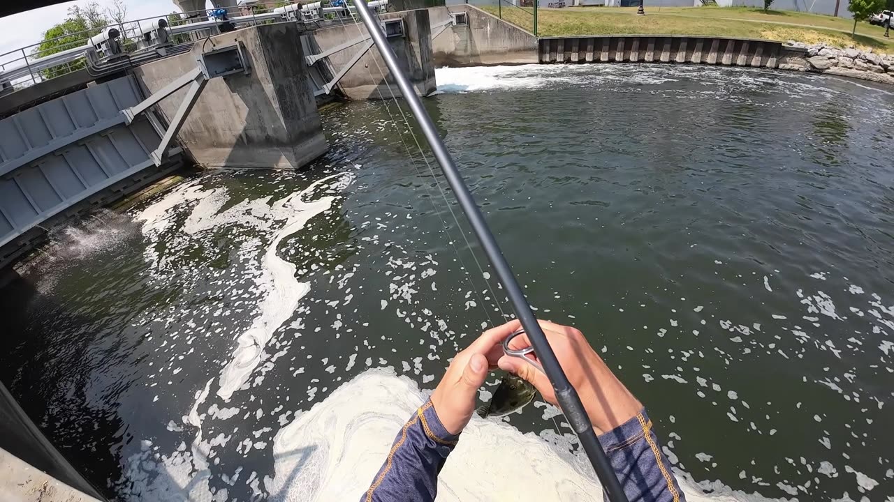 Non-Stop Bass, Panfish and More DOWNTOWN!