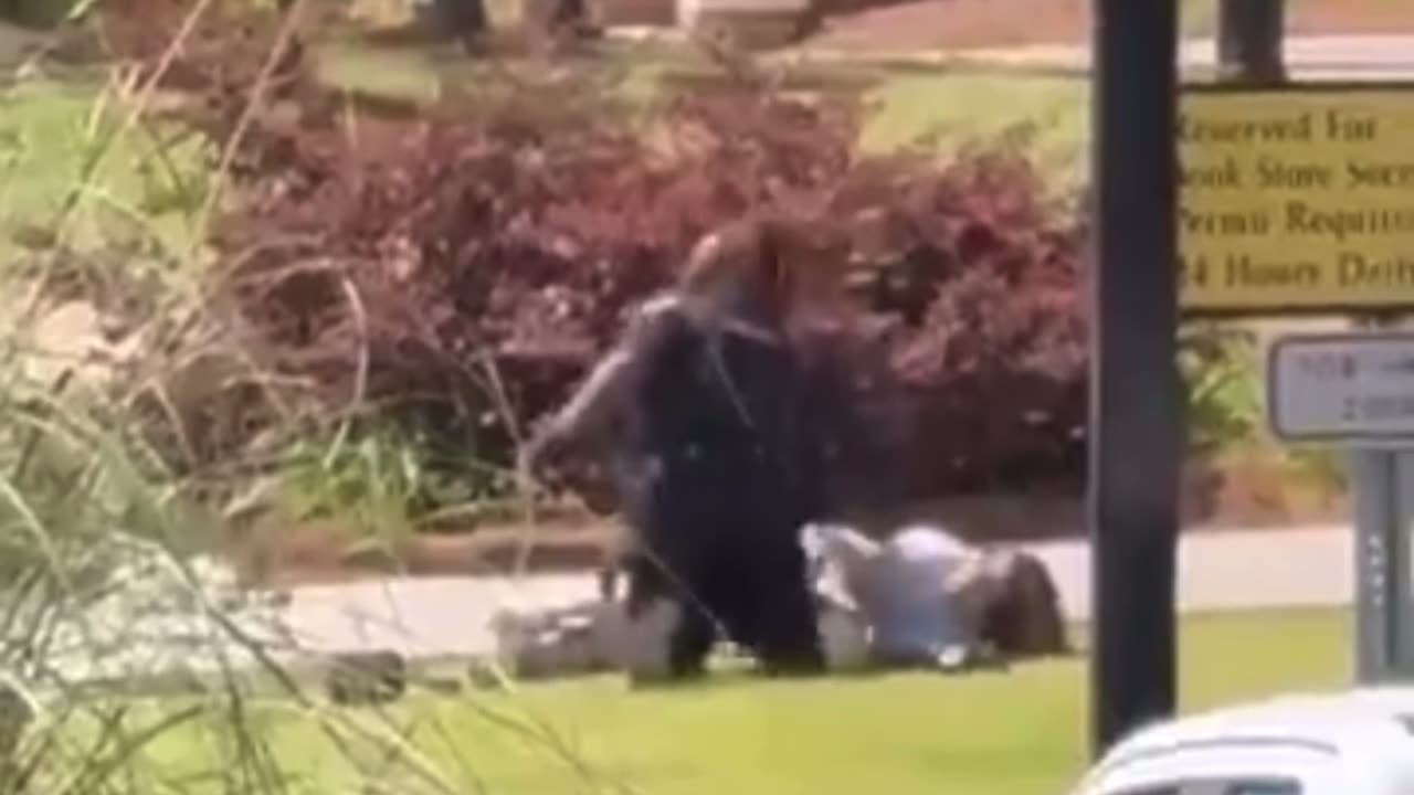 Law enforcement appears to have apprehended FSU shooter