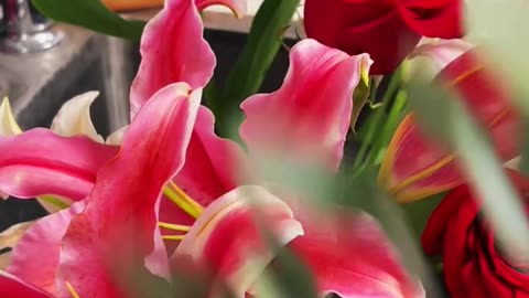 Roses'N'Lilies PT3