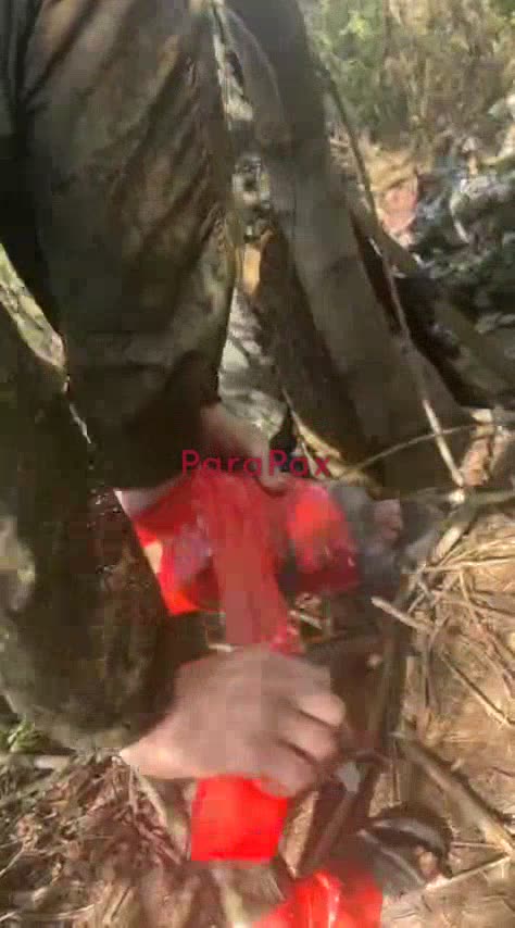 Look How Much Fun They Are Having