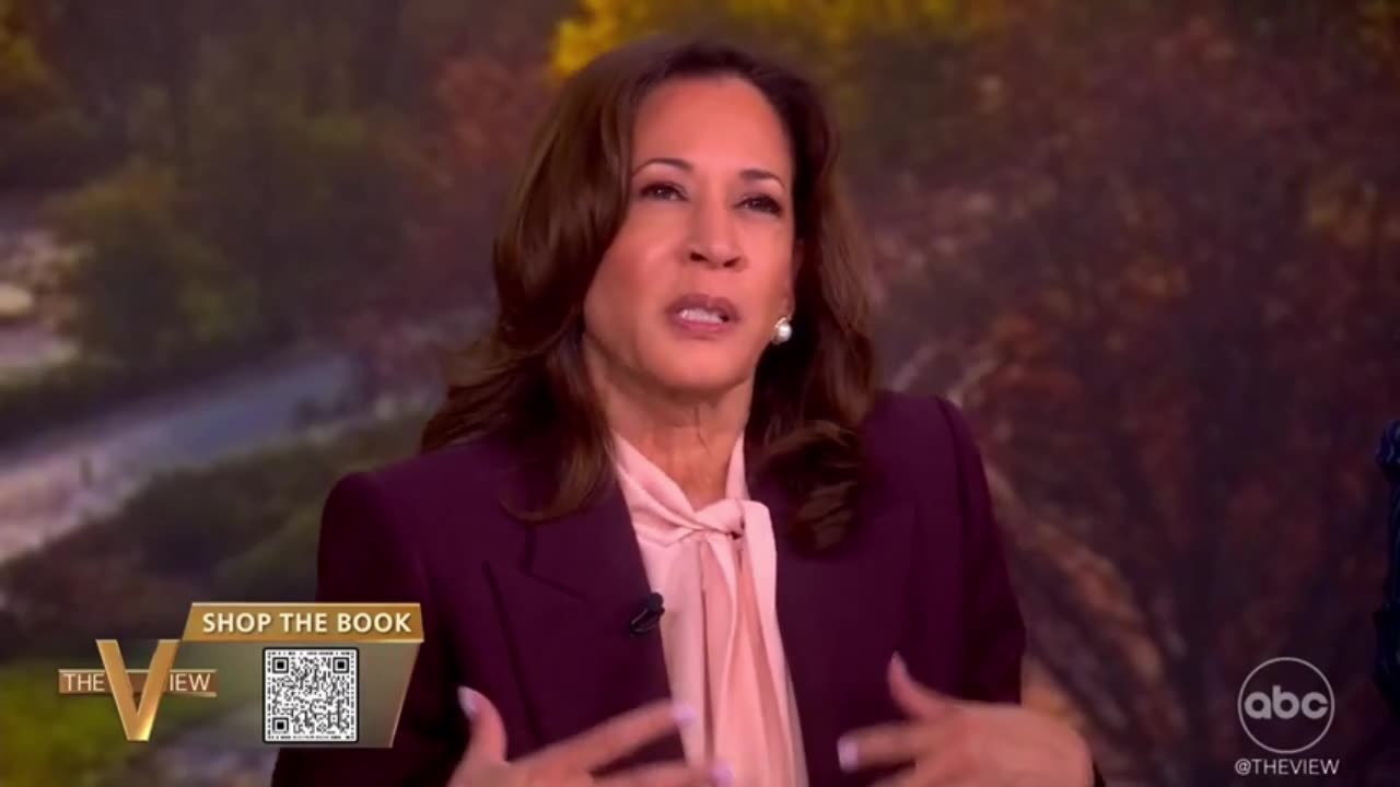 Kamala Harris Grieved For America After She Lost