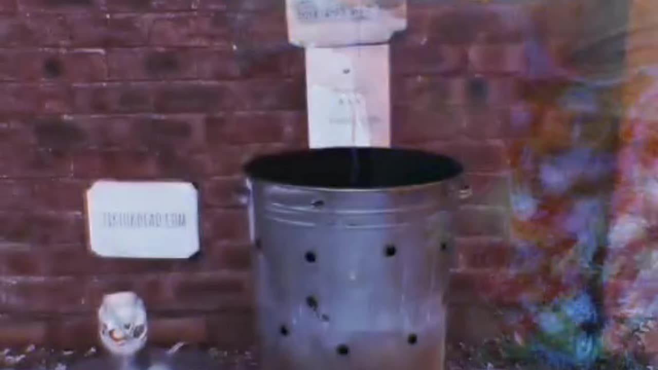 Tim Rifat TikTok Videos