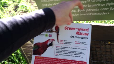 Lagos Zoo (Algarve, Portugal) 10