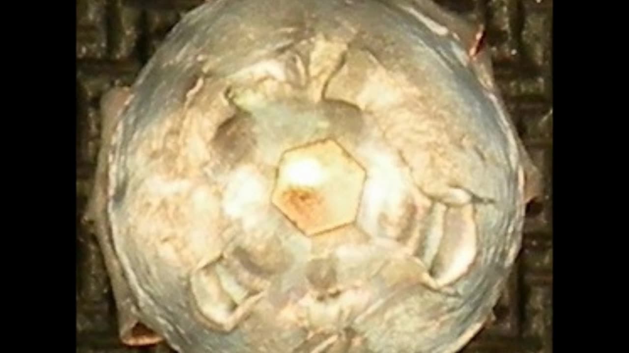 22 Magnum Remington 40gr Power Soft Point slow motion ballistic gelatin