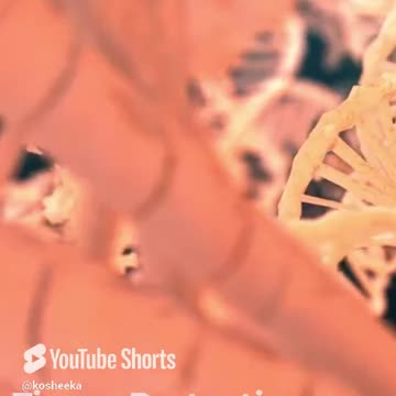 Anti Inflammatory Power of Mesenchymal Stem Cells #Exosomes #MSCs #Primarycells