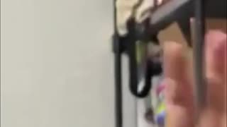 Find Your Passion - The Key To Success