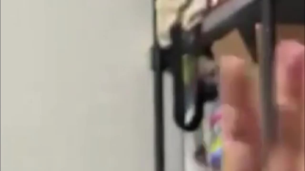 Find Your Passion - The Key To Success