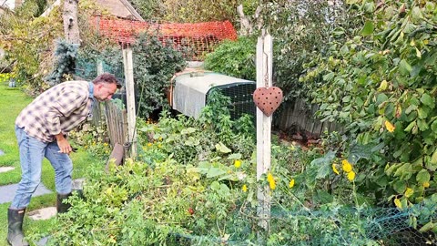 Storm Damage & Repairs: Greenhouse & Fence Repair