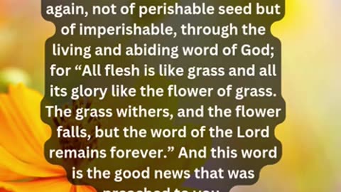 Journey of faith and spiritual growth 1 Peter 1:22-25 Daily Bible Verse