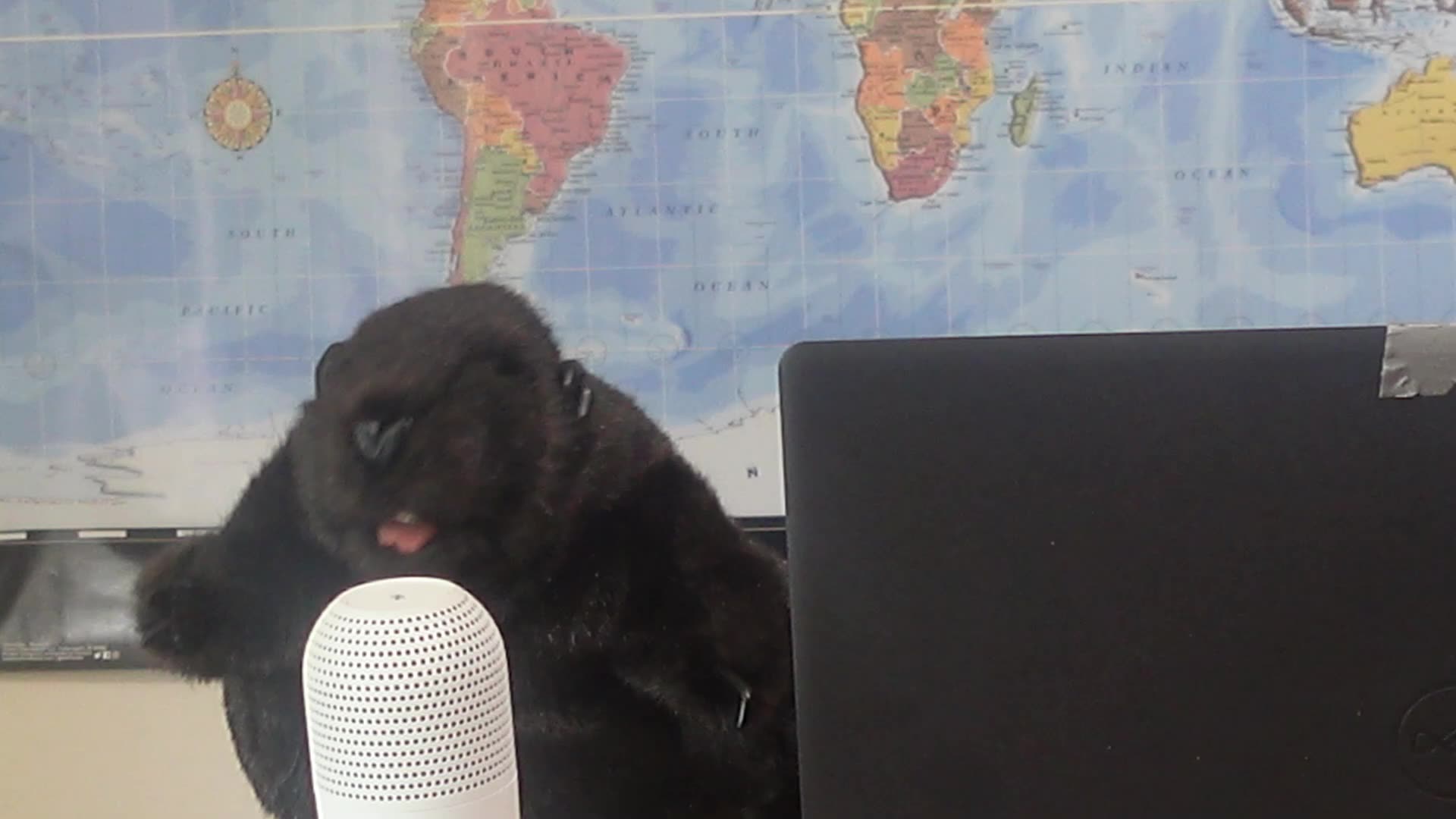 Was It All Fake? What Do You Think?