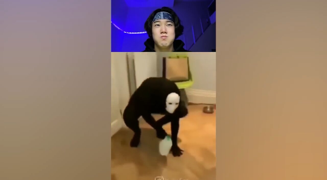 BEST Funny Try Not To Laugh Challenge Compilation 🤣
