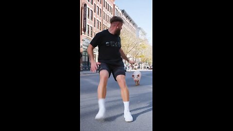 Pig chases Jake Paul