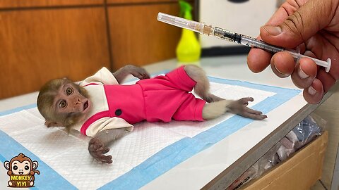 Grandpa takes monkey YiYi to the vet when she acts strange