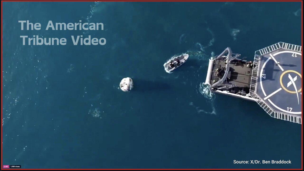 Astronauts Rescued By SpaceX Surrounded By Playful Dolphins After Splashing Down in Gulf of America
