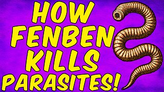 How Fenbendazole Kills Parasites! - (Science Based)