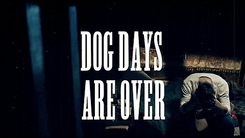 Dog Days Are Over